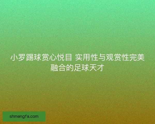 小罗踢球赏心悦目 实用性与观赏性完美融合的足球天才