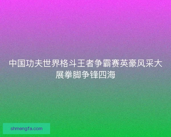 中国功夫世界格斗王者争霸赛英豪风采大展拳脚争锋四海