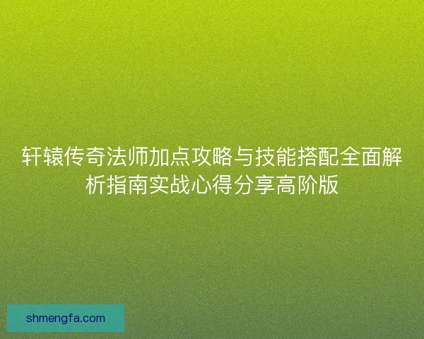 轩辕传奇法师加点攻略与技能搭配全面解析指南实战心得分享高阶版