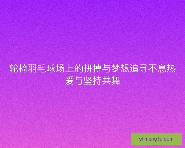 轮椅羽毛球场上的拼搏与梦想追寻不息热爱与坚持共舞