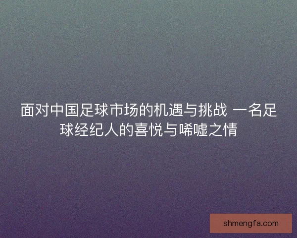 面对中国足球市场的机遇与挑战 一名足球经纪人的喜悦与唏嘘之情