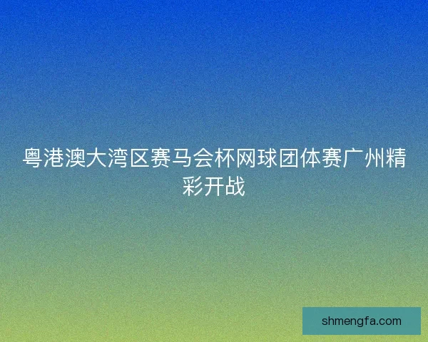 粤港澳大湾区赛马会杯网球团体赛广州精彩开战